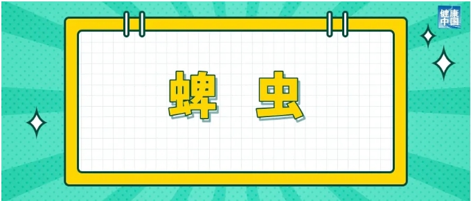 被这些小虫子咬了,处理方法跟被蚊子咬了不一样