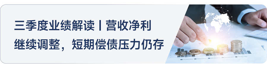2024年1-11月江苏省房地产企业暨江苏省本土国企销售业绩排行榜