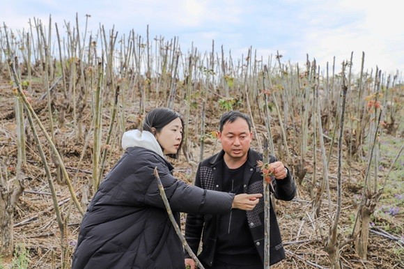 钱大妈&云南云上春香椿标准种植示范基地正式揭牌