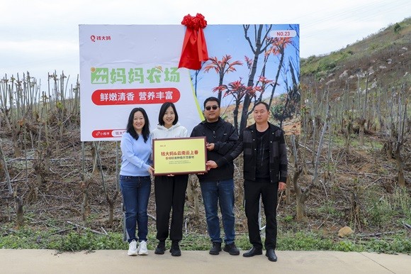钱大妈&云南云上春香椿标准种植示范基地正式揭牌