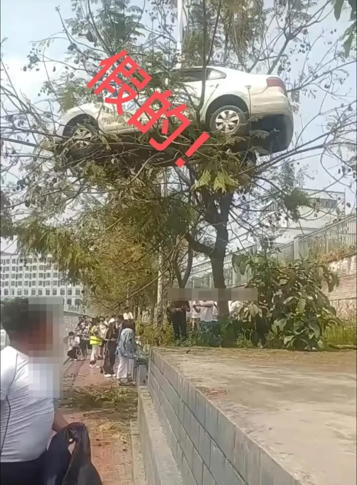 大反转！竟是假的，确认摆拍